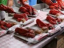 Maine lobster food festival