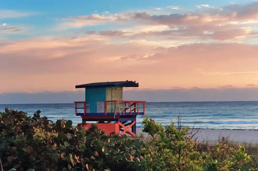 things to do in California