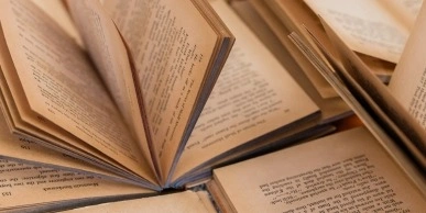 best travel books