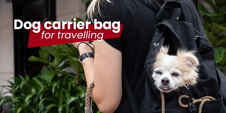 Dog Carrier Bag